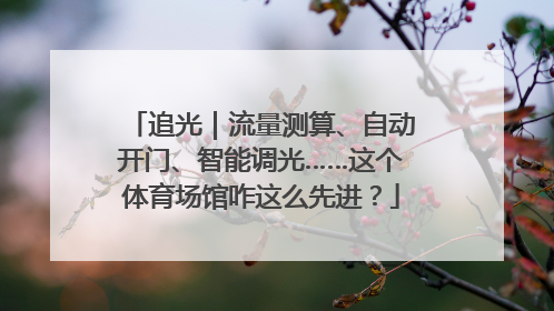 追光｜流量测算、自动开门、智能调光……这个体育场馆咋这么先进？